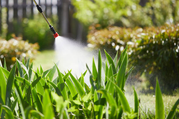 24/7 Emergency Mosquito Control experts in Wacousta, MI