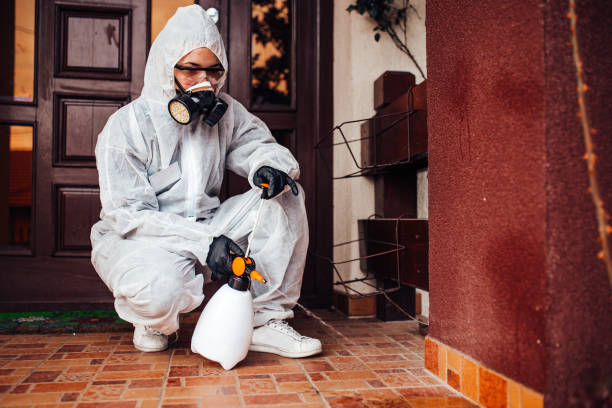 Reliable Mosquito Control contractor in Wacousta, MI by Show Me Pest Control