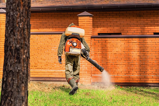 Top rated local Mosquito Control specialists in Wacousta, MI